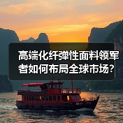高端化纤弹性面料领军者如何布局全球市场？（图3）