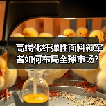 高端化纤弹性面料领军者如何布局全球市场？（图4）