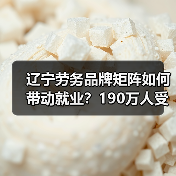 辽宁劳务品牌矩阵如何带动就业？190万人受益（图2）