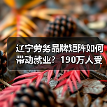 辽宁劳务品牌矩阵如何带动就业？190万人受益（图3）