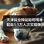 天津就业驿站如何精准服务5.5万人次实现稳就业（图4）