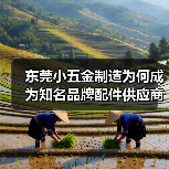 东莞小五金制造为何成为知名品牌配件供应商？（图2）