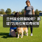 兰州就业数据如何？新增7万岗位背后有何策略？（图2）