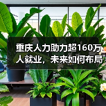 重庆人力助力超160万人就业,未来如何布局?(图1) 重庆人力助力超160万人就业,未来如何布局?(图1)