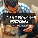 PET离型膜多行业应用解决方案解析（图3）
