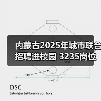 内蒙古2025年城市联合招聘进校园 3235岗位助力高校就业（图3）