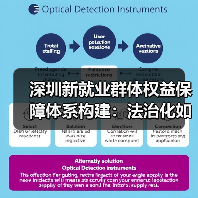 深圳新就业群体权益保障体系构建：法治化如何落地？（图2）