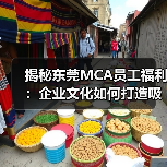 揭秘东莞MCA员工福利：企业文化如何打造吸引力？（图1）