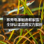 东莞电源制造哪家强？全球认证品牌实力解析（图4）