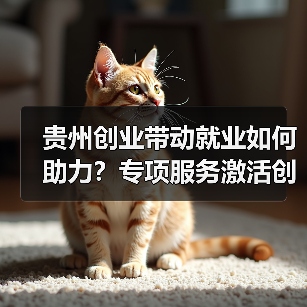 贵州创业带动就业如何助力？专项服务激活创业生态（图3）