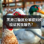 黑龙江稳就业举措如何绘就民生暖色？（图2）