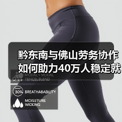 黔东南与佛山劳务协作如何助力40万人稳定就业？（图3）