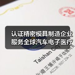 认证精密模具制造企业服务全球汽车电子医疗行业（图1）