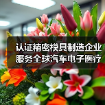 认证精密模具制造企业服务全球汽车电子医疗行业（图4）
