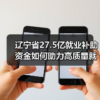 辽宁省27.5亿就业补助资金如何助力高质量就业？（图2）