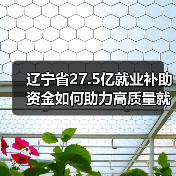 辽宁省27.5亿就业补助资金如何助力高质量就业？（图1）