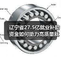辽宁省27.5亿就业补助资金如何助力高质量就业？（图3）