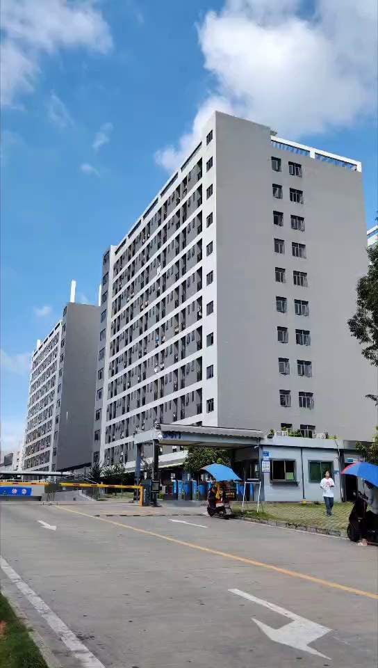 广东大时代(图2)